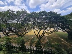 Tembusu Grand (D15), Condominium #526353541